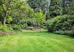 Optimiser l'expérience du jardin à Champrond-en-Perchet